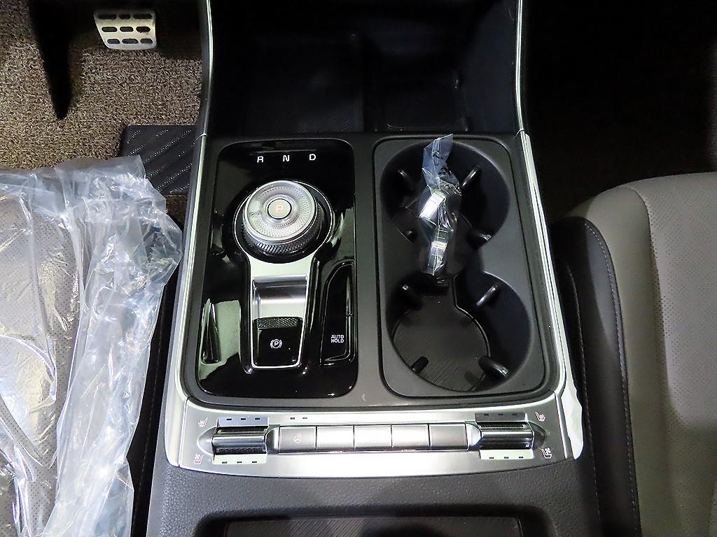 KIA Carnival - Vista 12