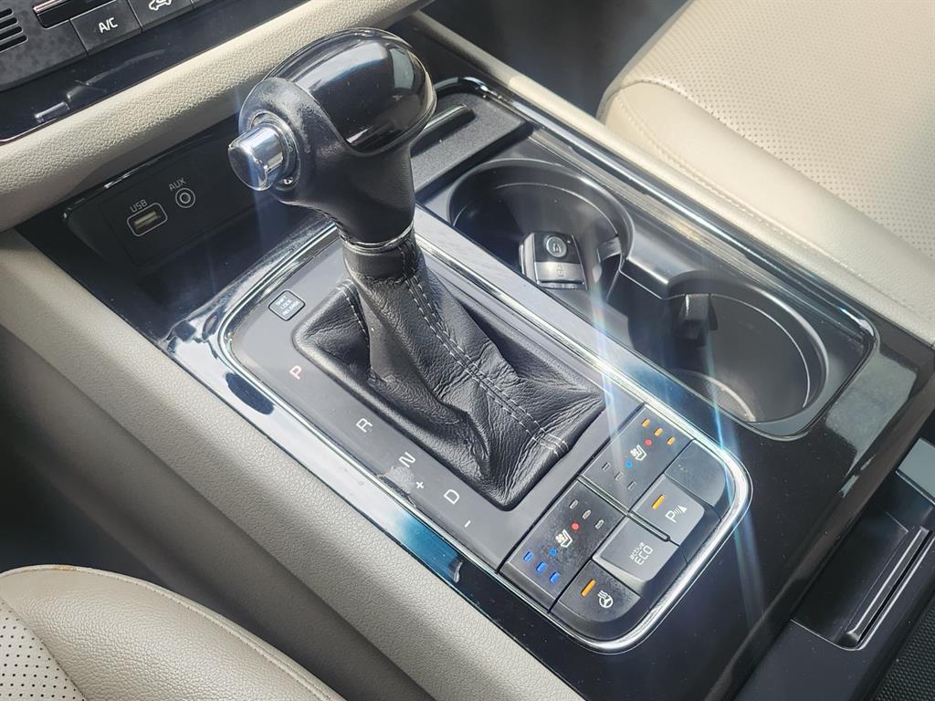 KIA Carnival - Vista 12