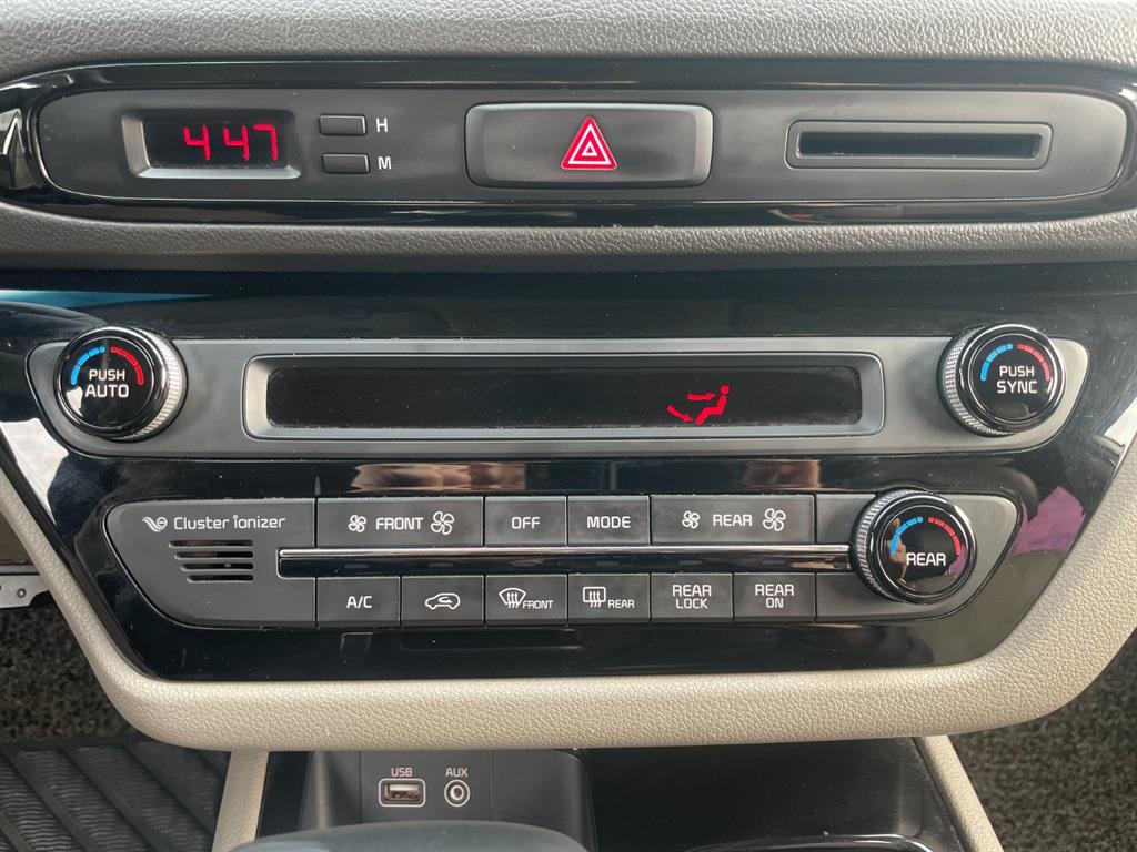 KIA Carnival - Vista 11