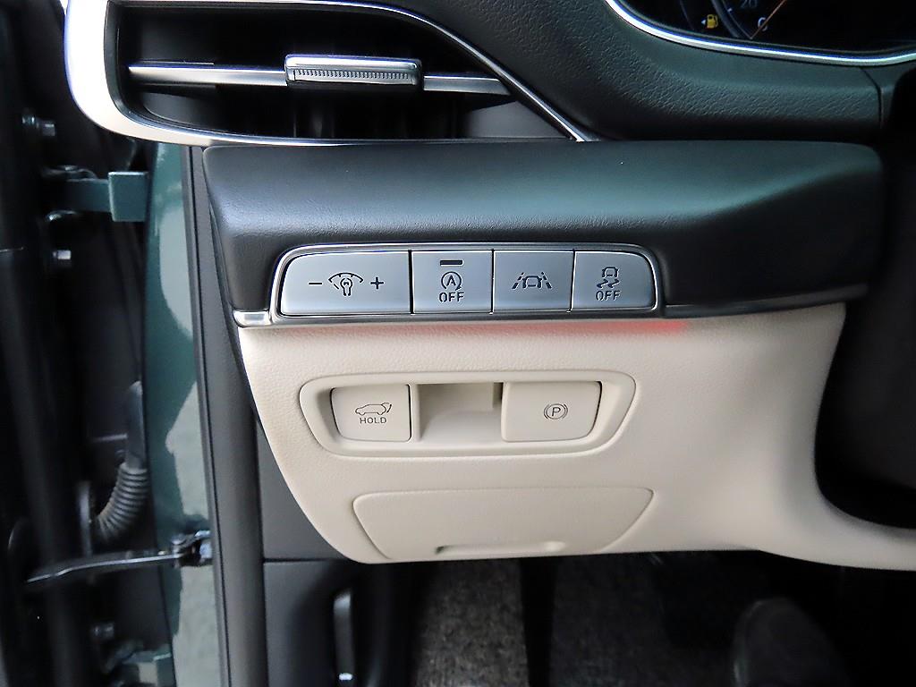 Genesis GV80 - Vista 11