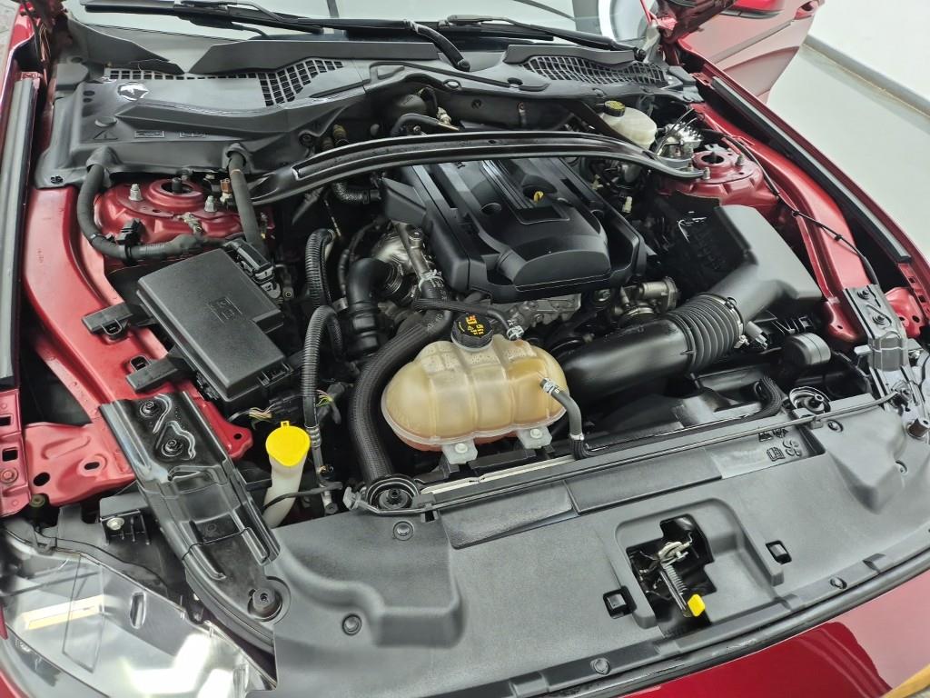 Ford Mustang - Vista 6