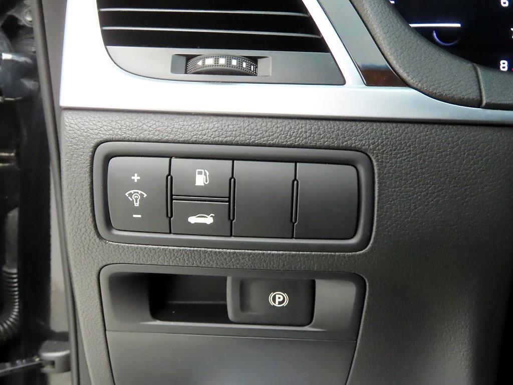 HYUNDAI Genesis - Vista 12