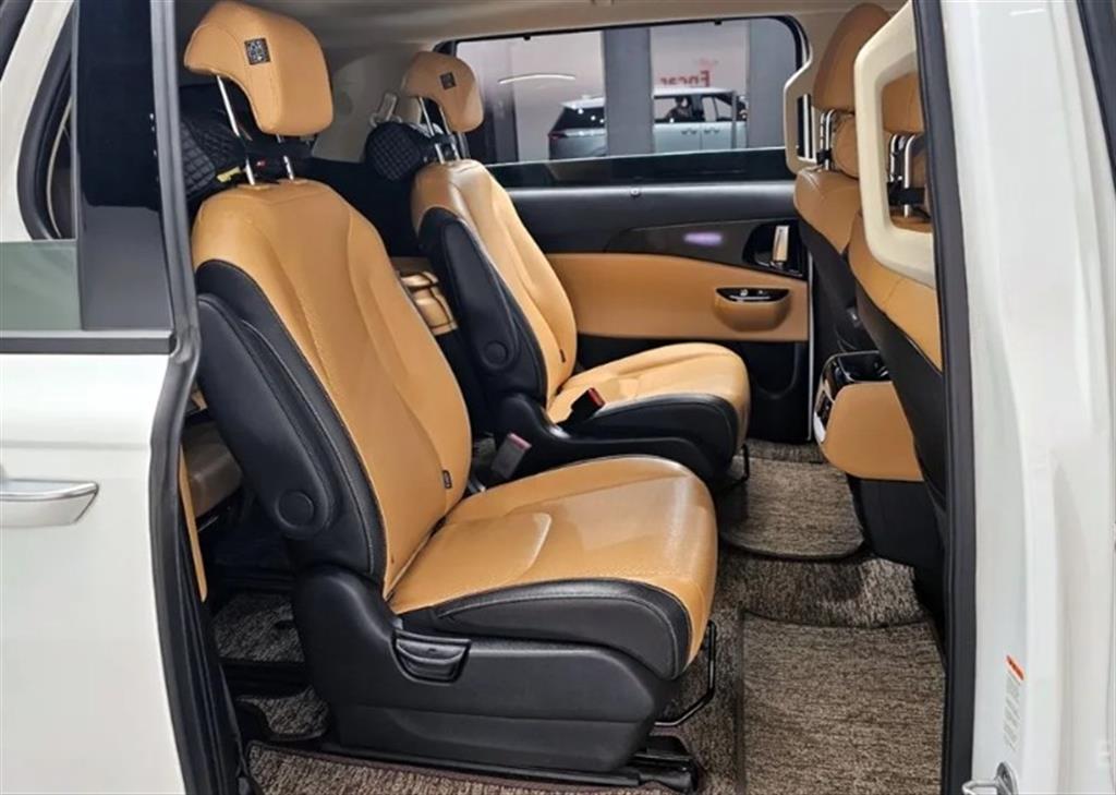 KIA Carnival - Vista 11