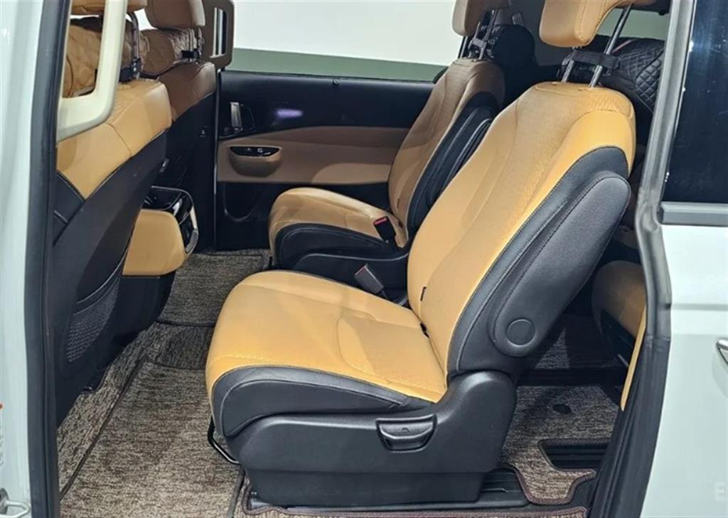 KIA Carnival - Vista 12