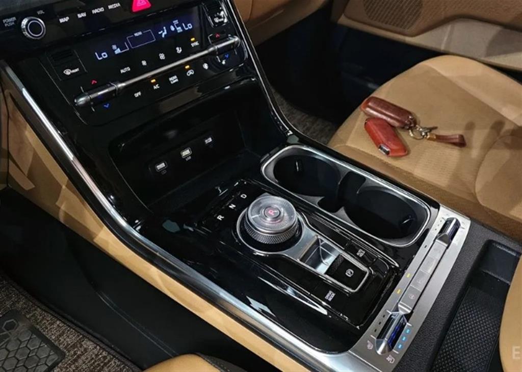 KIA Carnival - Vista 9