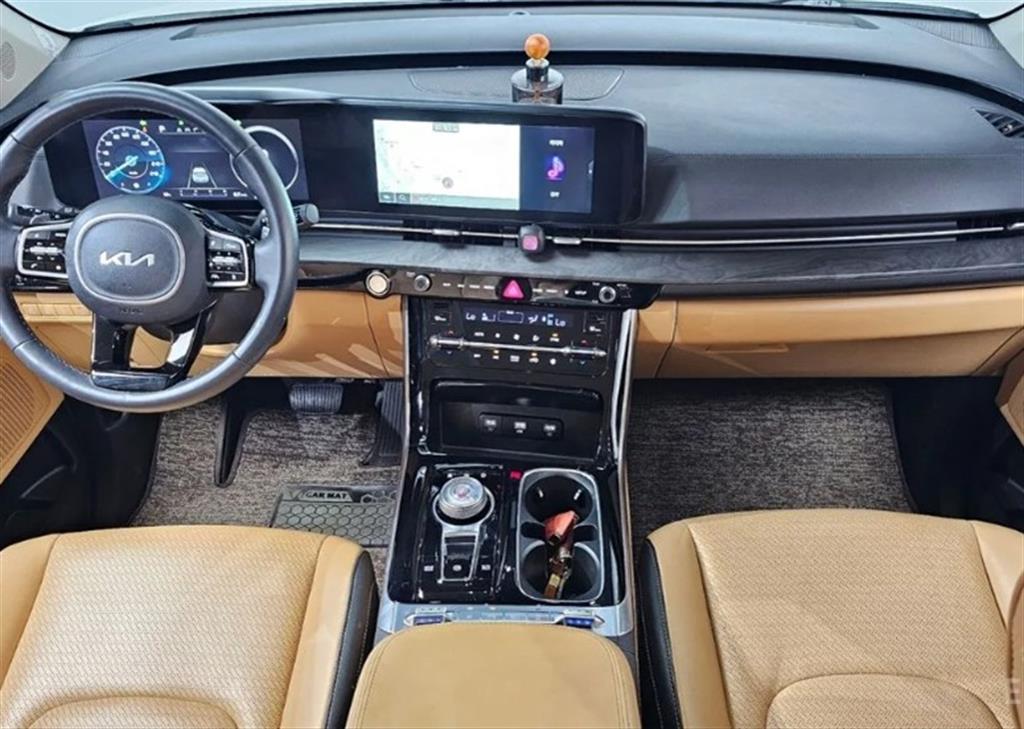 KIA Carnival - Vista 7