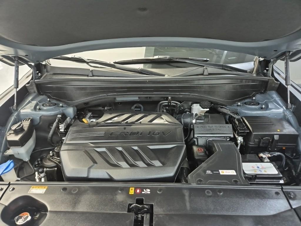 HYUNDAI Palisade - Vista 5