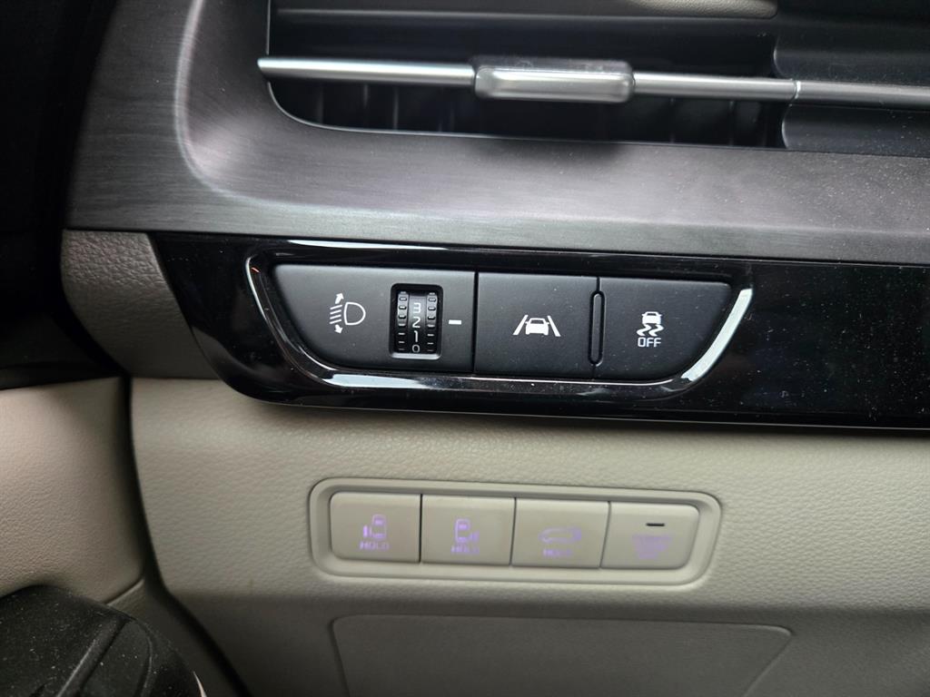 KIA Carnival - Vista 11