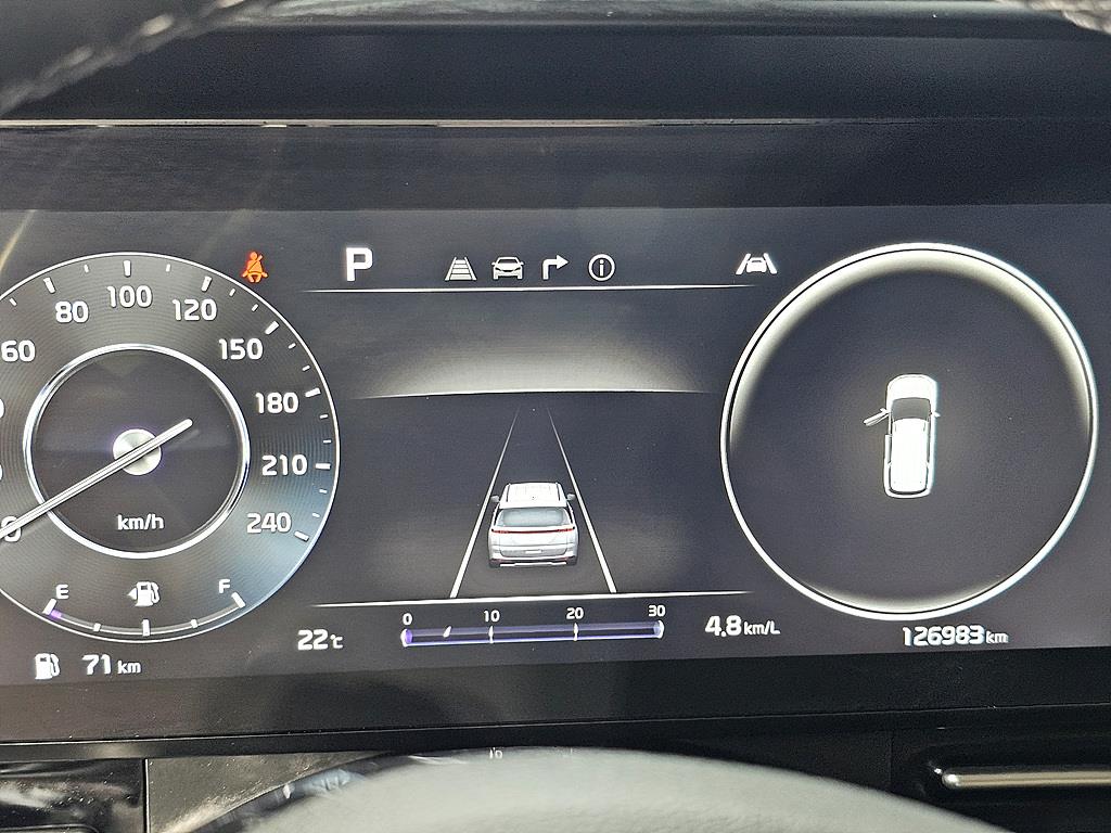 KIA Carnival - Vista 7