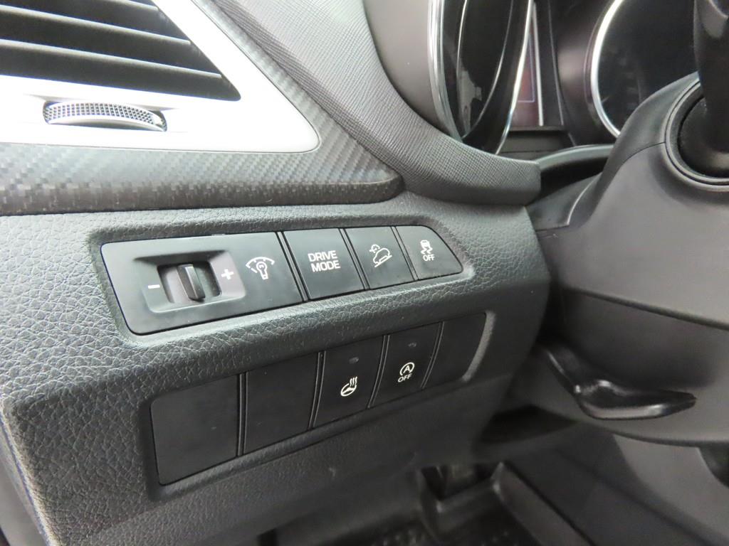 HYUNDAI Santa Fe - Vista 10