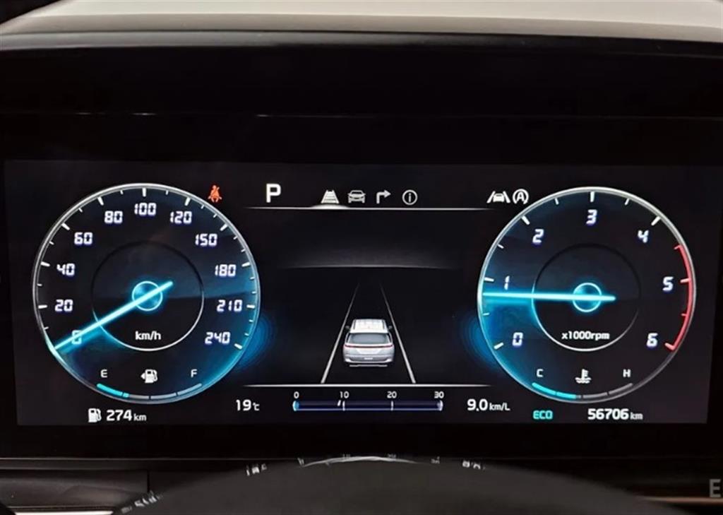 KIA Carnival - Vista 8