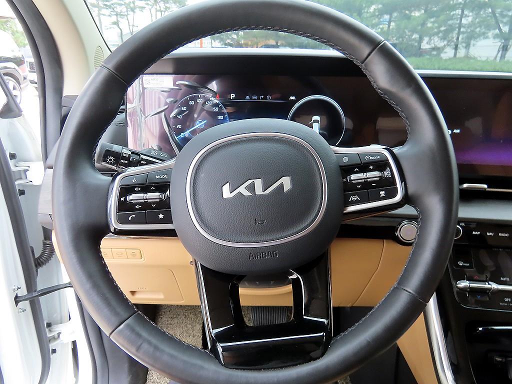 KIA Carnival - Vista 9
