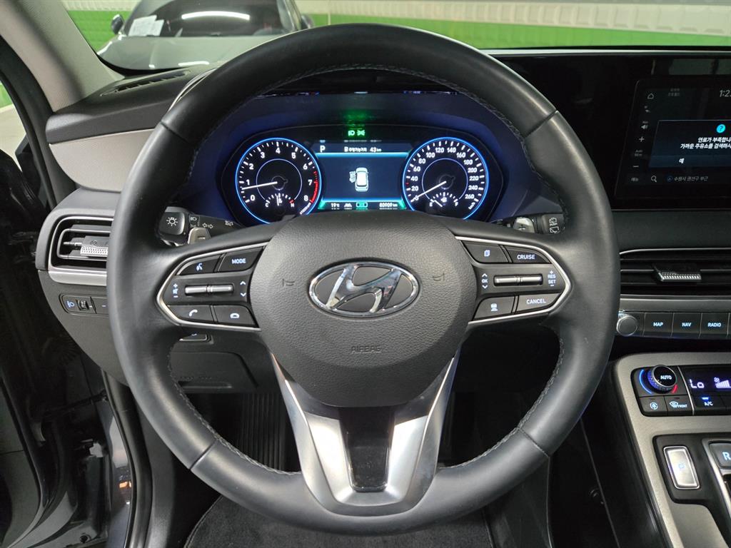 HYUNDAI Palisade - Vista 10