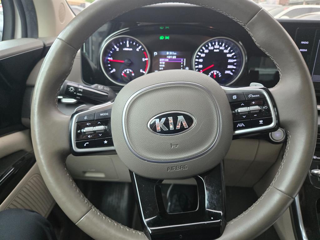 KIA Carnival - Vista 7