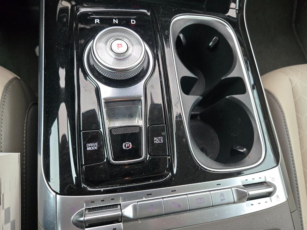 KIA Carnival - Vista 9