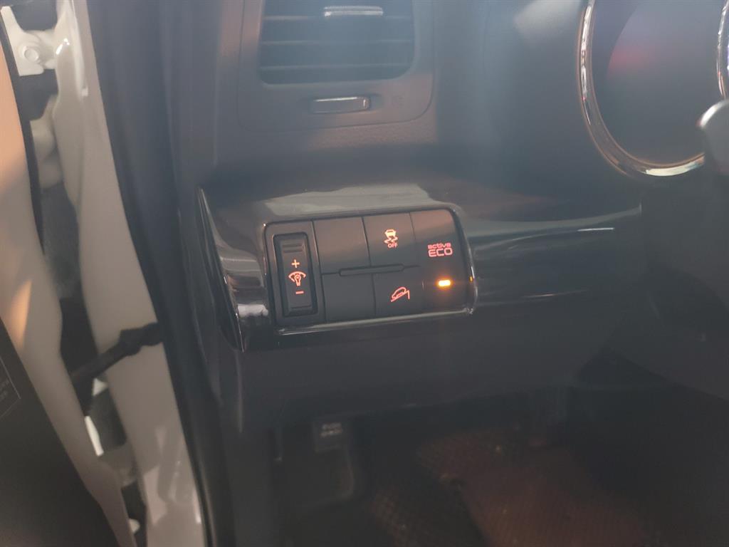 KIA Sorento - Vista 12