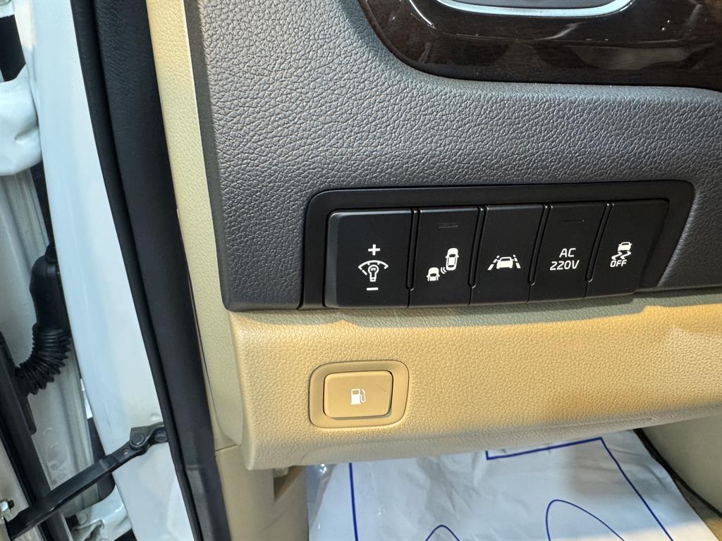 KIA Carnival - Vista 8