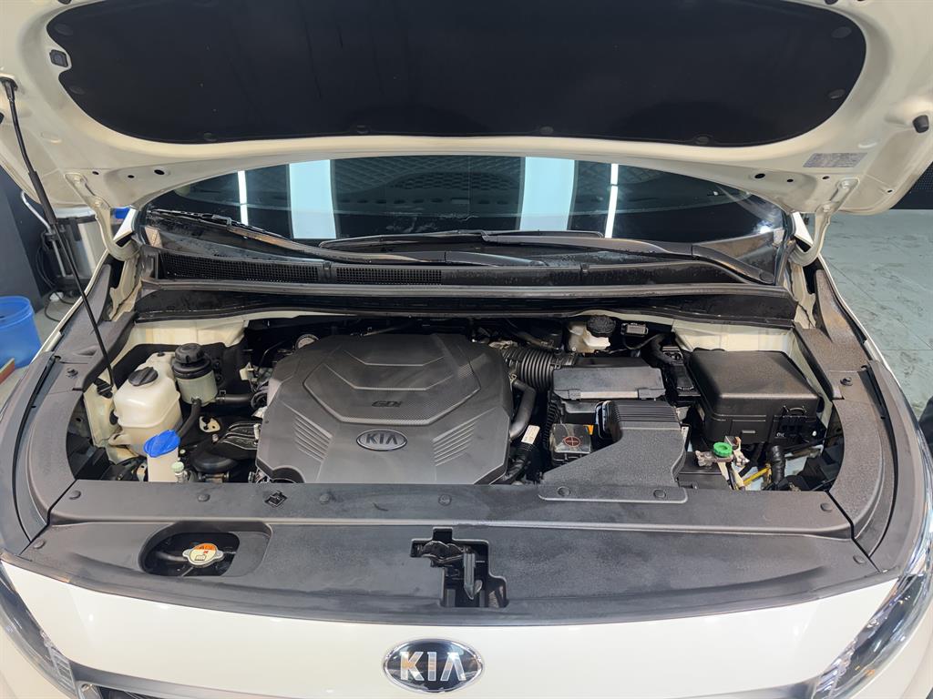 KIA Carnival - Vista 7