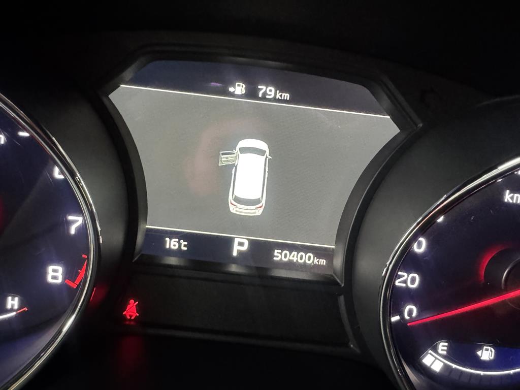 KIA Carnival - Vista 10