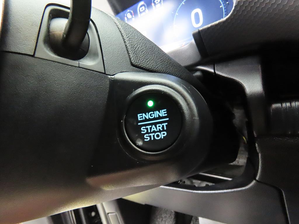 Ford Ranger - Vista 12