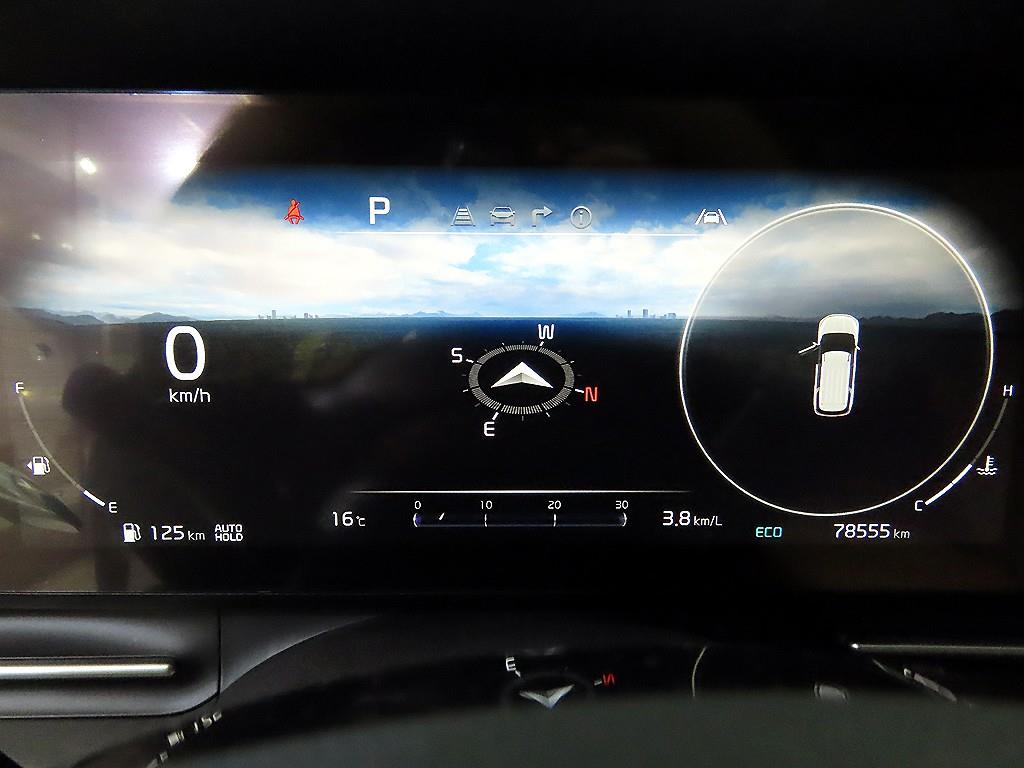 KIA Carnival - Vista 9