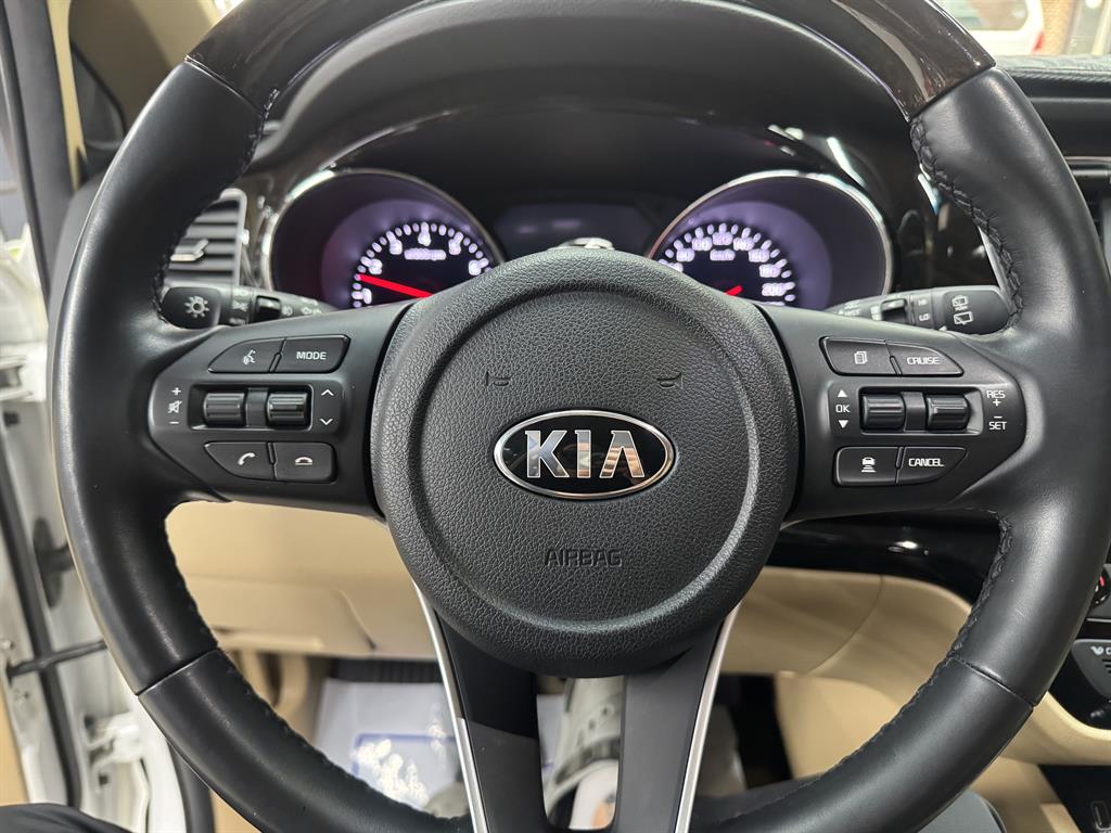 KIA Carnival - Vista 12