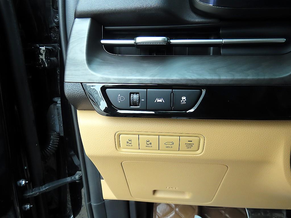 KIA Carnival - Vista 12