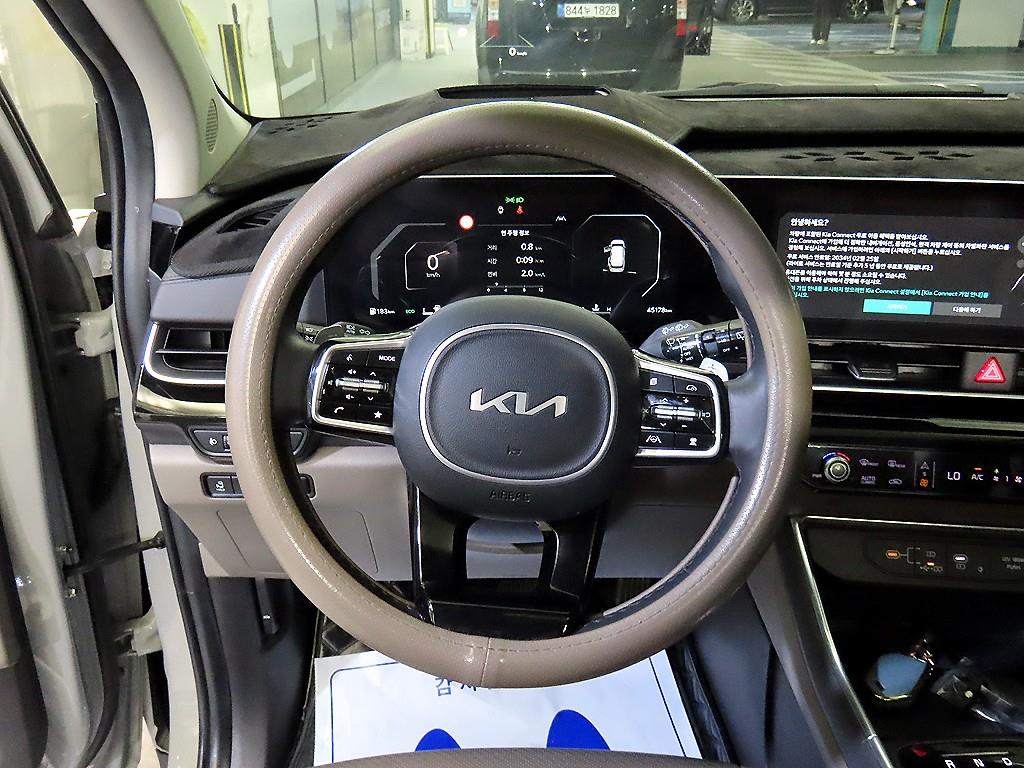 KIA Carnival - Vista 8