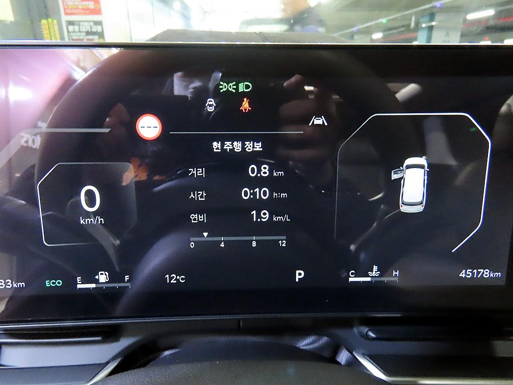 KIA Carnival - Vista 9