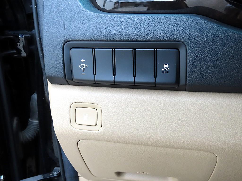 KIA Carnival - Vista 12