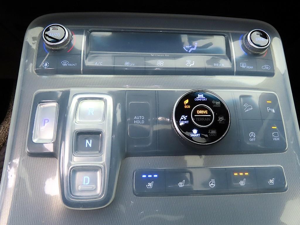 HYUNDAI Palisade - Vista 10