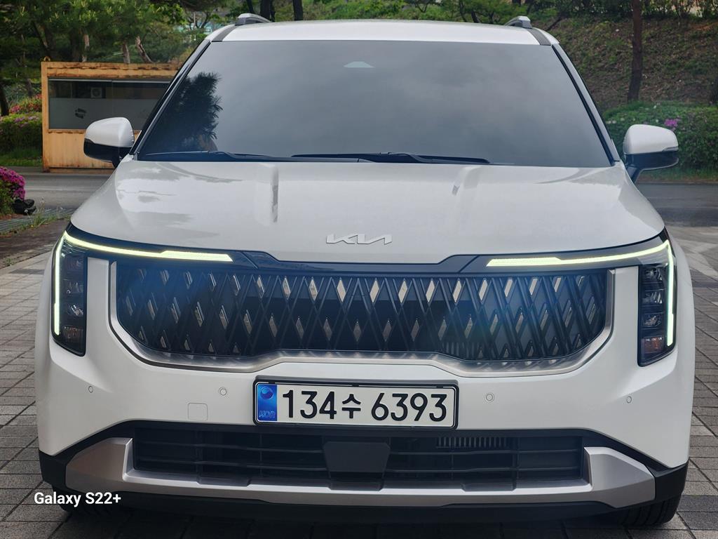 KIA Carnival - Vista 3