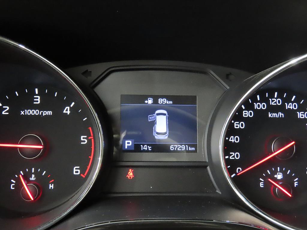 KIA Carnival - Vista 8