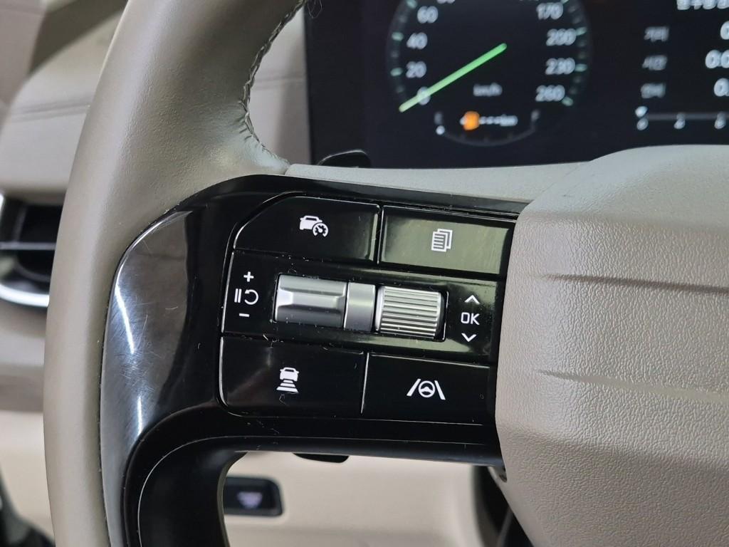 KIA Carnival - Vista 9