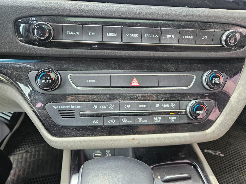 KIA Carnival - Vista 12