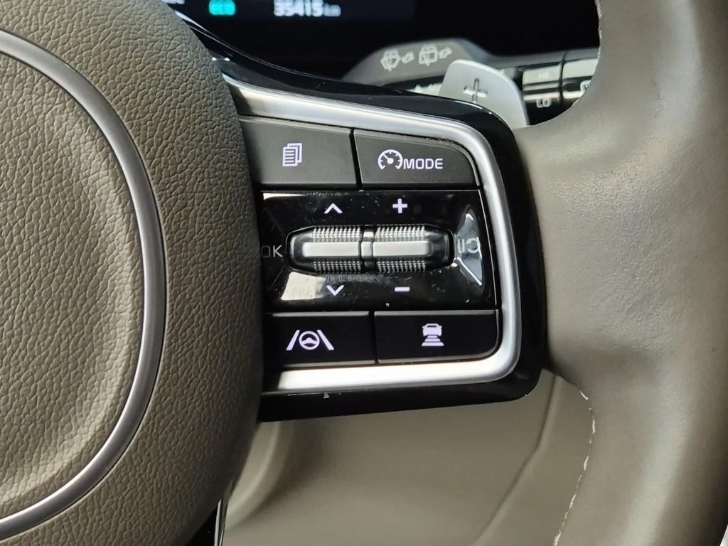 KIA Carnival - Vista 12