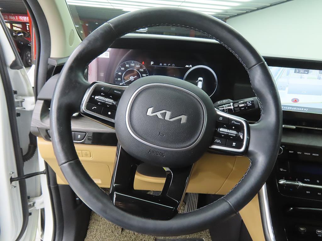 KIA Carnival - Vista 8