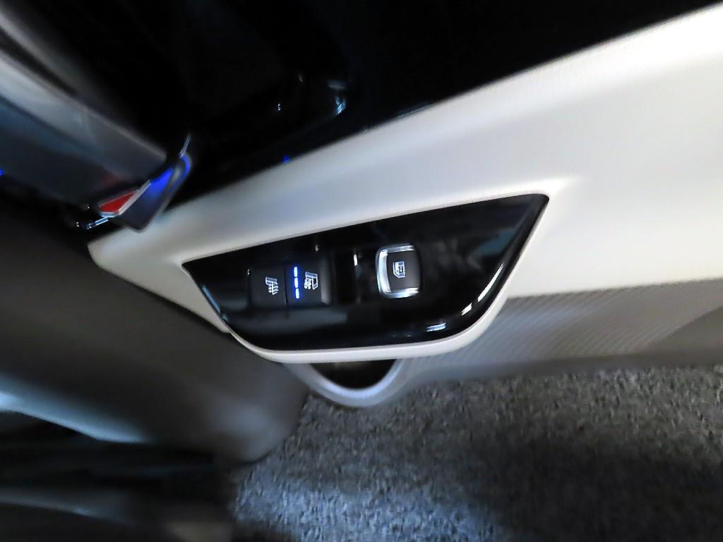 KIA Carnival - Vista 12