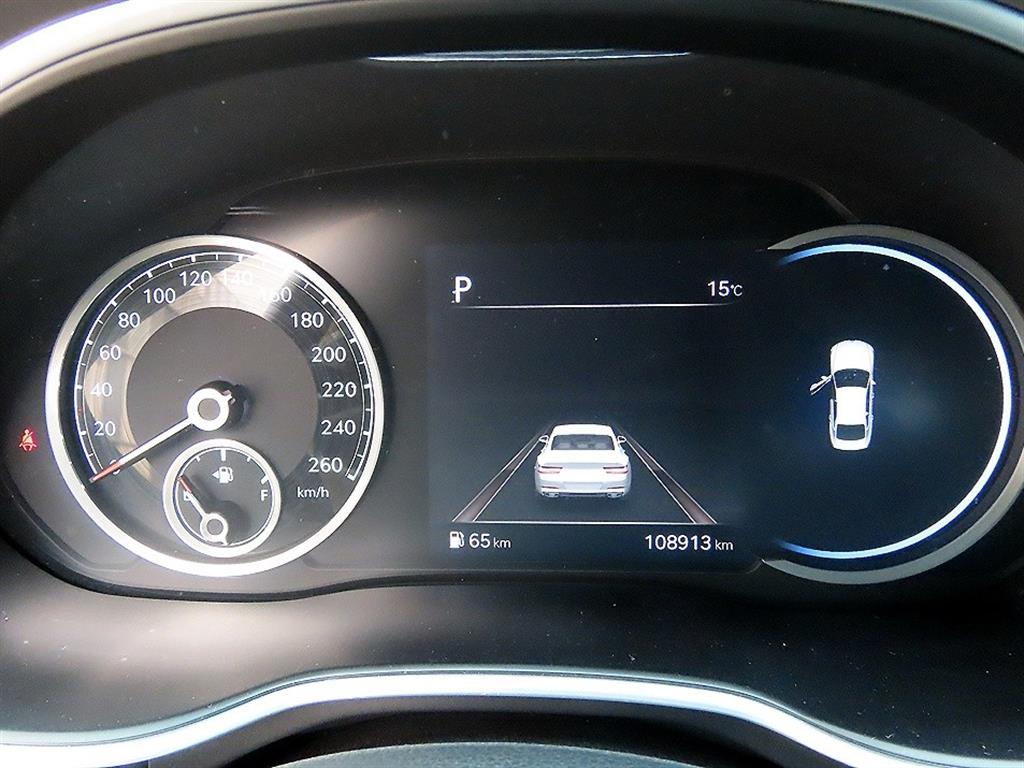 Genesis G80 - Vista 9