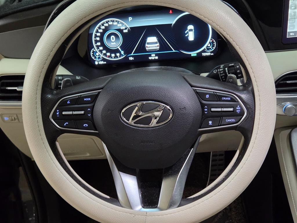 HYUNDAI Palisade - Vista 10