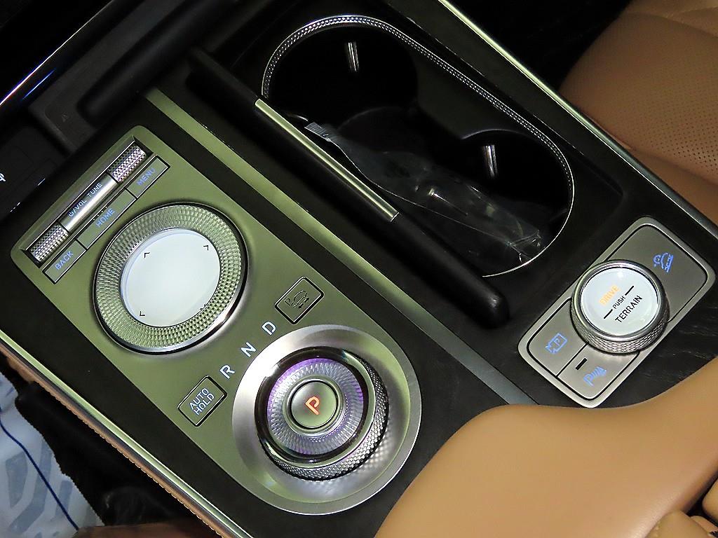 Genesis GV80 - Vista 12