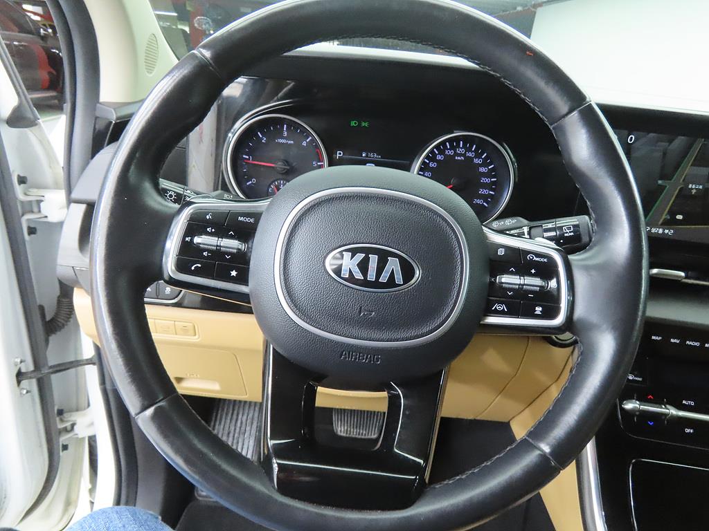 KIA Carnival - Vista 8