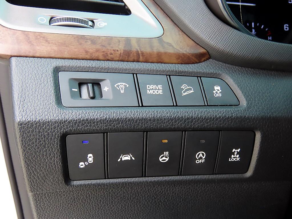 HYUNDAI Maxcruz - Vista 12