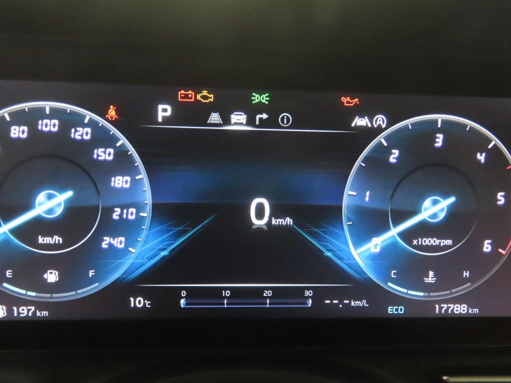 KIA Carnival - Vista 8
