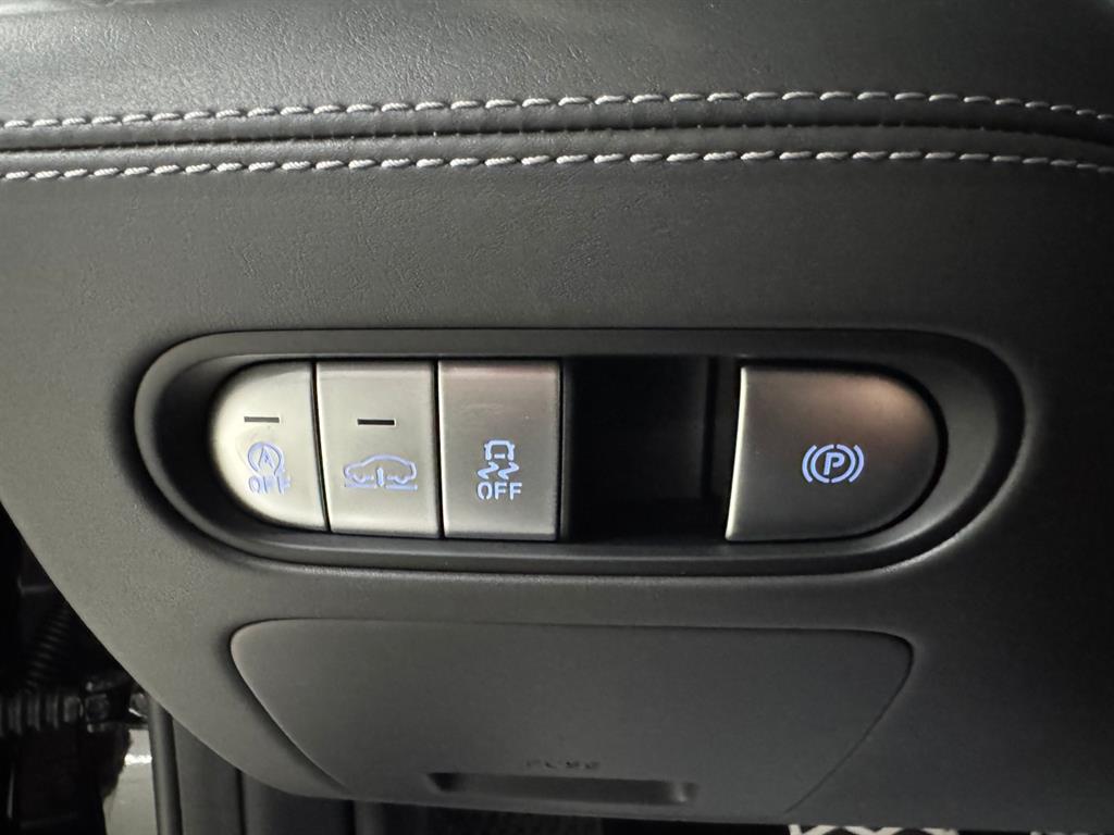 Genesis G90 - Vista 12