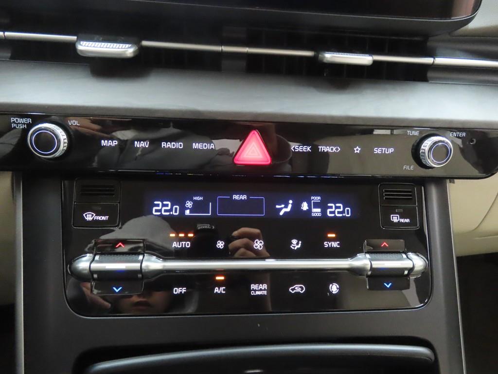 KIA Carnival - Vista 12