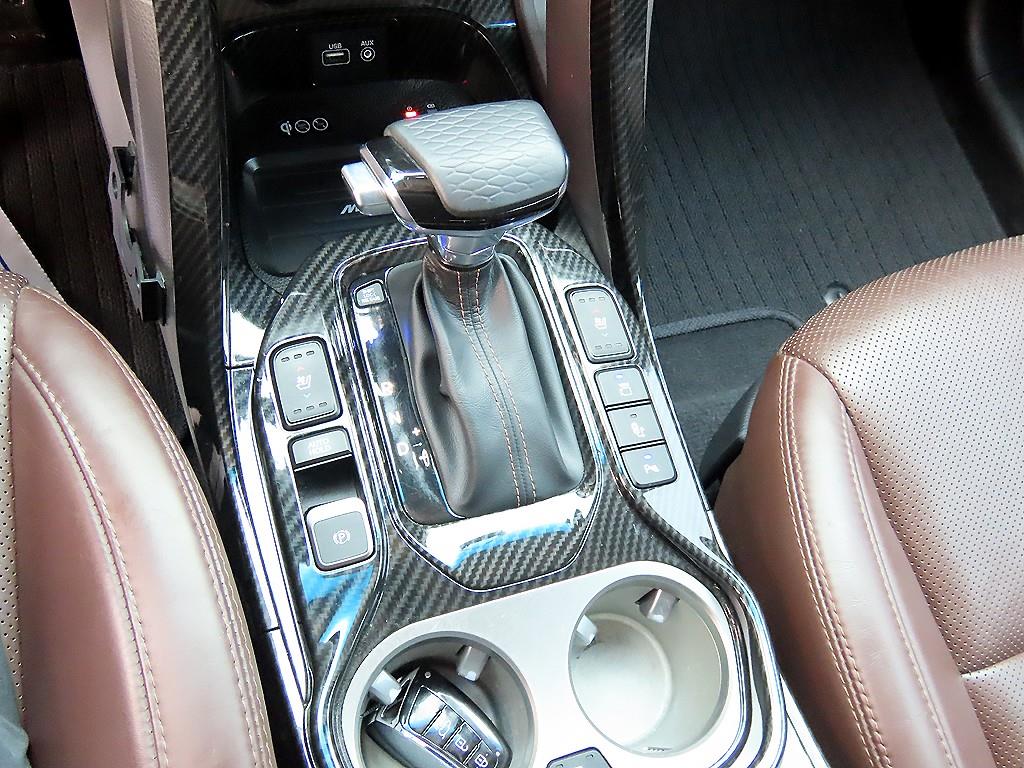 HYUNDAI Maxcruz - Vista 10