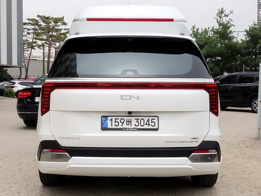 KIA Carnival - Vista 4