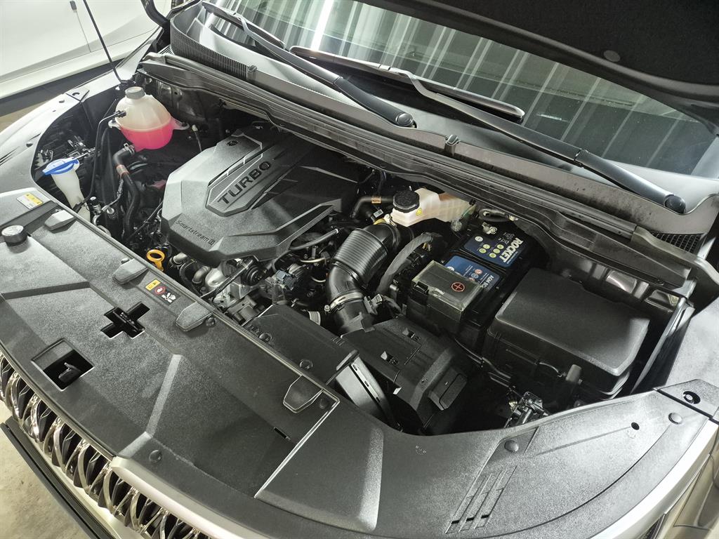KIA Carnival - Vista 6