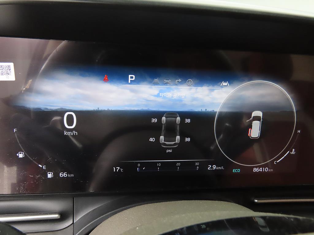 KIA Carnival - Vista 9